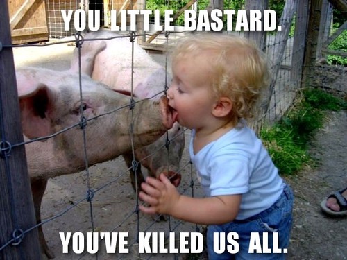 Swine Flu Source